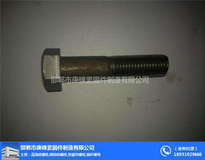 庚錦緊固件加工技術(shù)強(qiáng) 圖 外六角螺栓 永年六角螺栓