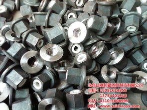 梯形扣螺母,梯形扣螺母定做,梯形扣螺母廠家 賽超 優質商家